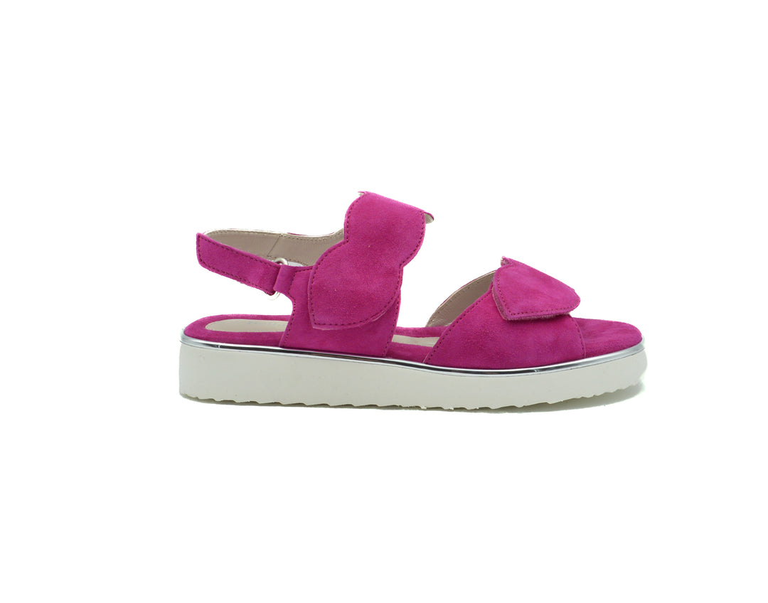 BELLA COMFORTO CORAL