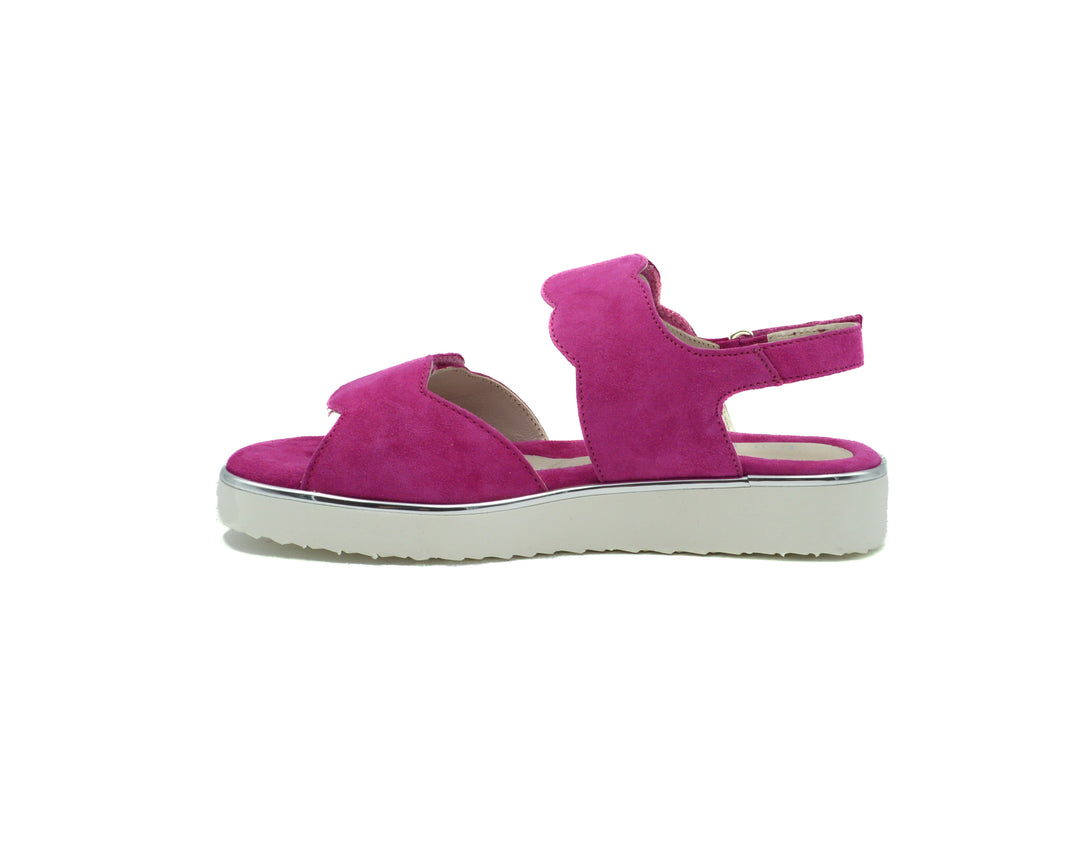 BELLA COMFORTO CORAL
